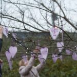 suicide memorial tree, purple hearts
