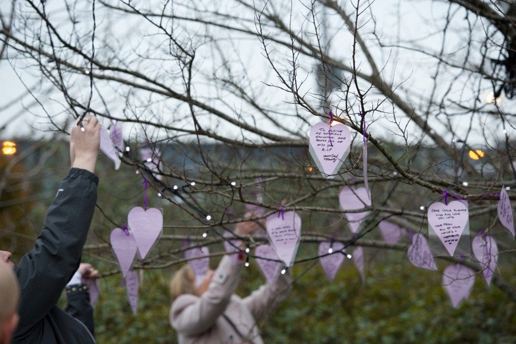 suicide memorial tree, purple hearts