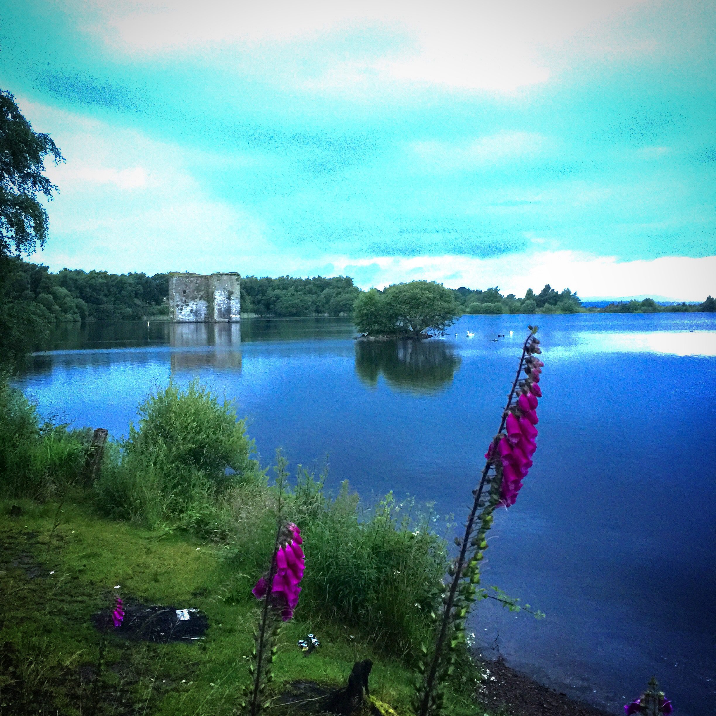 Stanely Castle Paisley Scotland