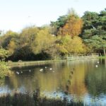 Renfrewshire Environmental And Restoration Group Appeal