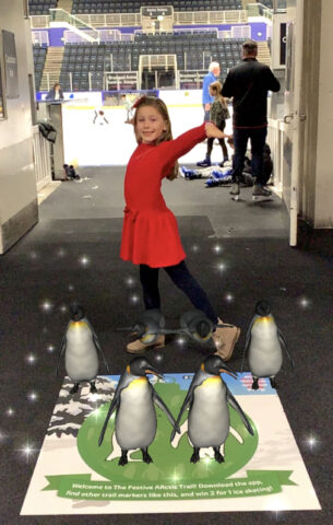 penguins ice rink