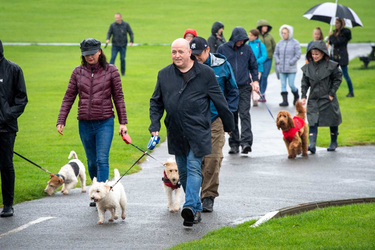 Have your say on a potential Renfrewshire Voluntary Dog Walkers scheme