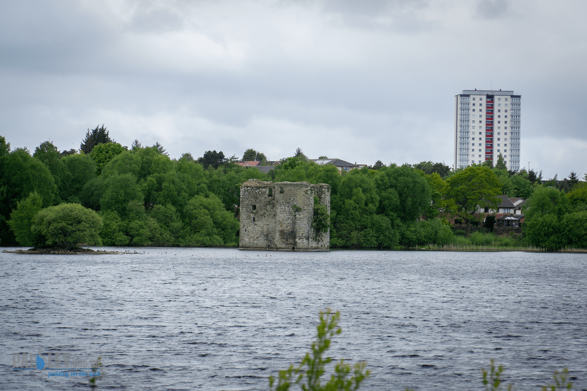 Stanley Reservoir Woodlands Get Massive Cleanout Paisley Scotland