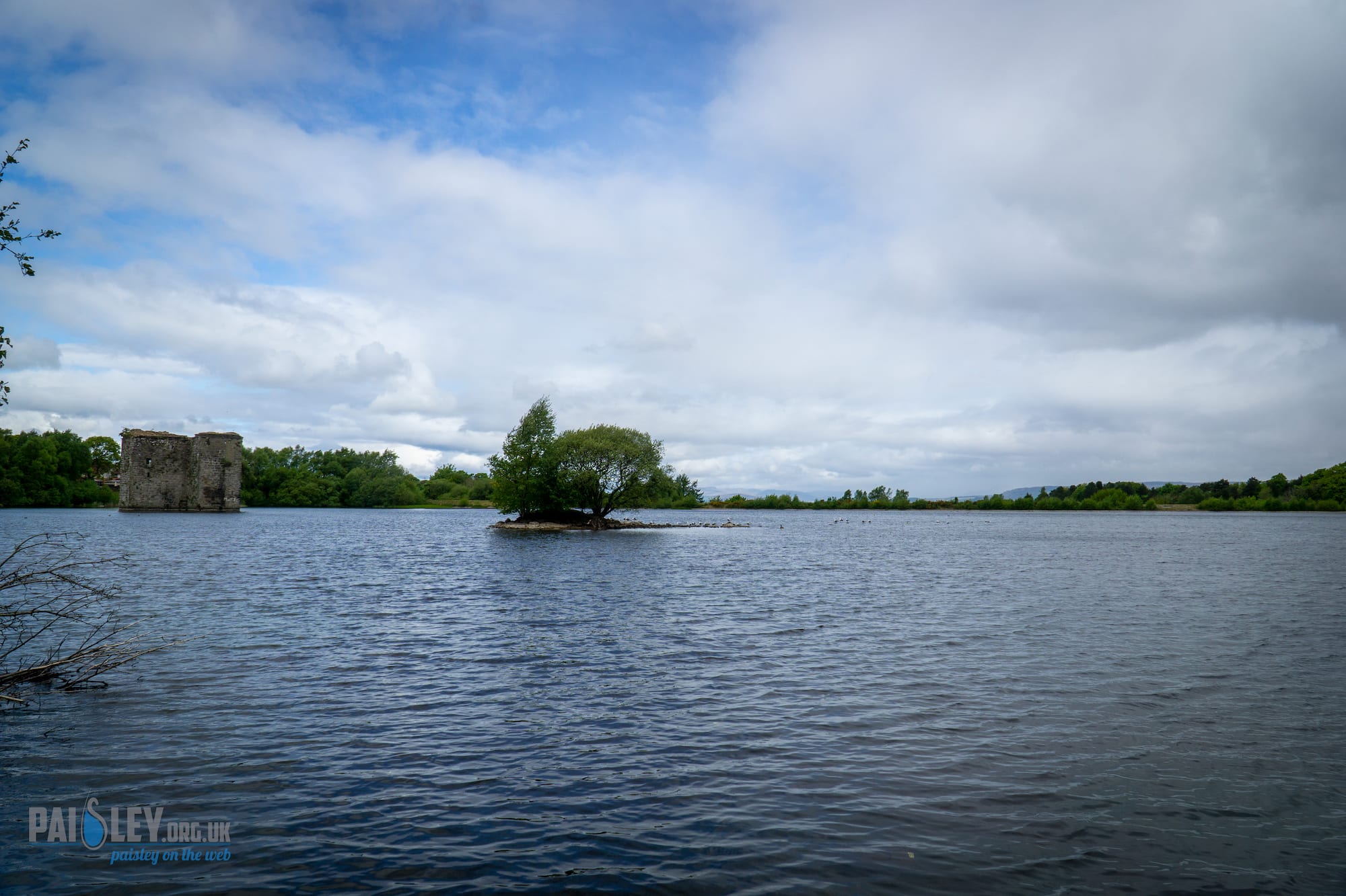 Stanley Reservoir Woodlands Get Massive Cleanout Paisley Scotland