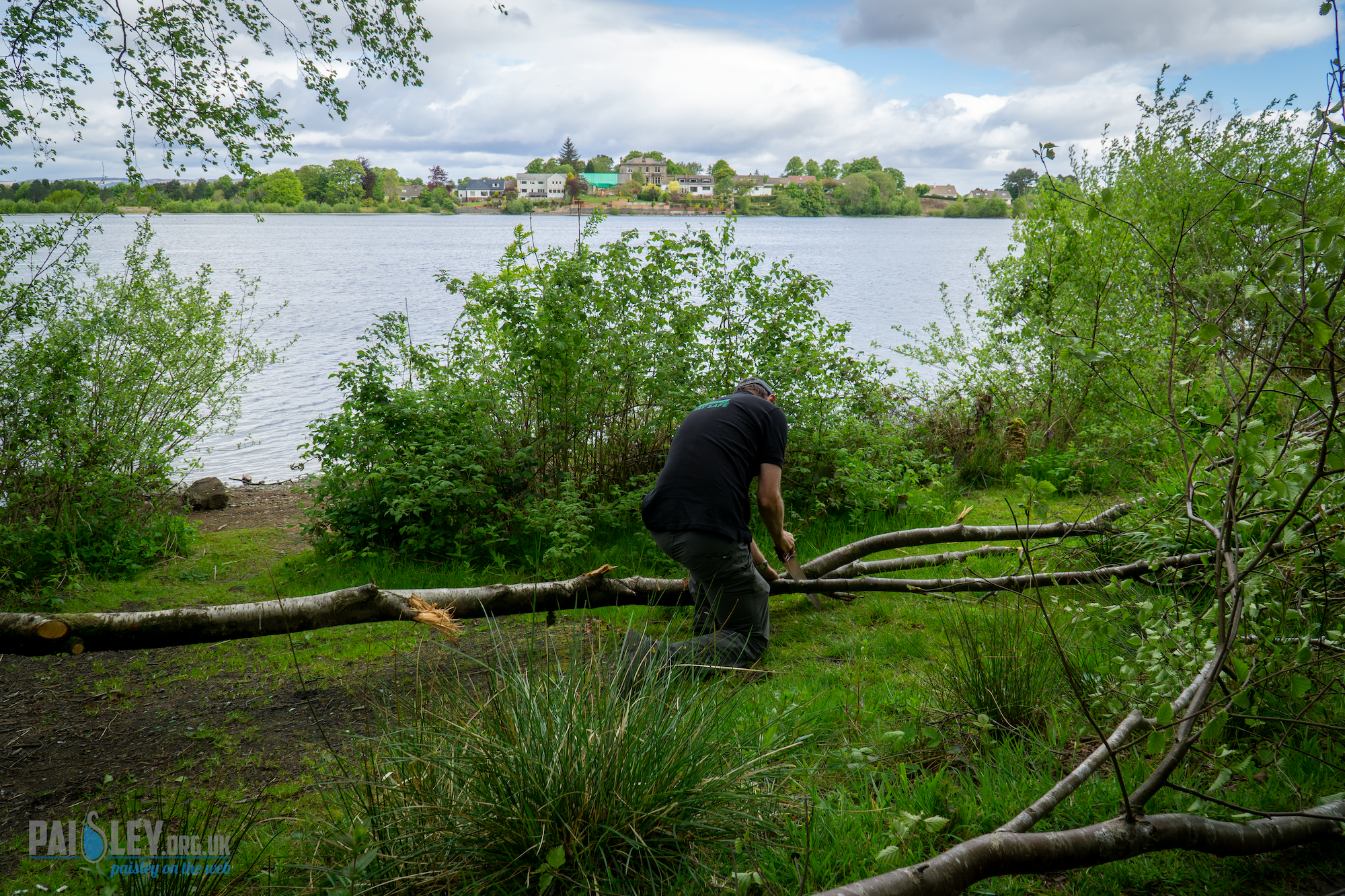 Stanley Reservoir Woodlands Get Massive Cleanout Paisley Scotland
