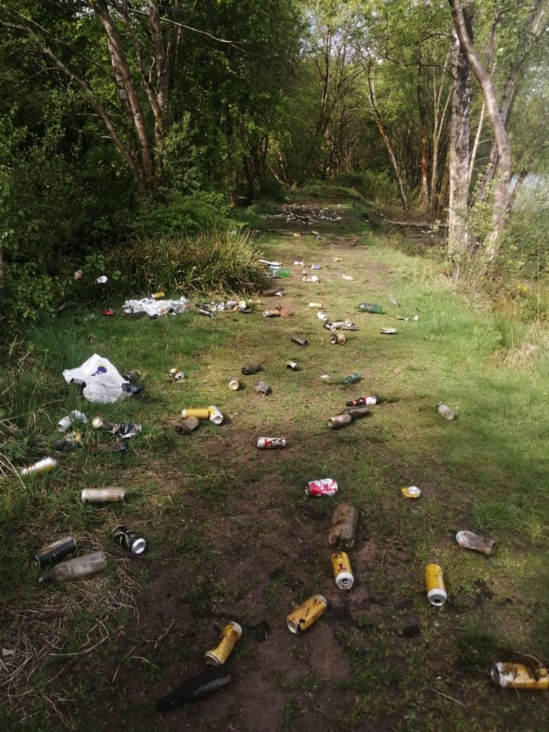 Stanley Reservoir Woodlands Get Massive Cleanout Paisley Scotland