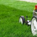 Council refreshes approach to grass cutting in Renfrewshire