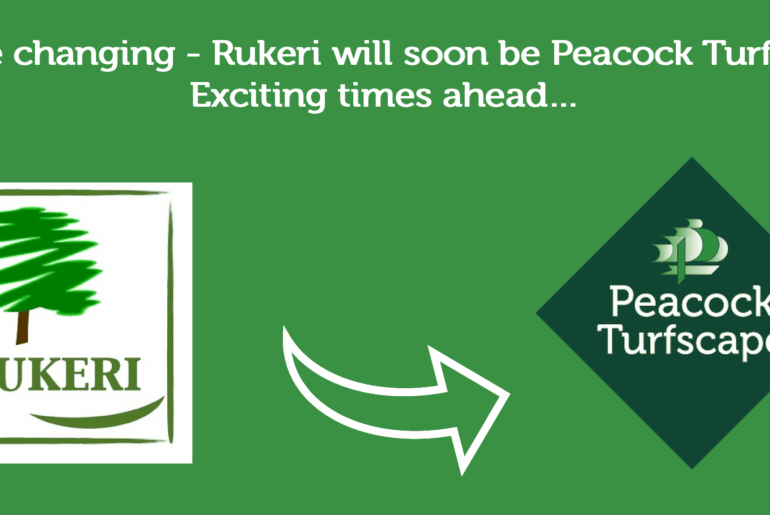 Rebranding Rukeri to Turfscape