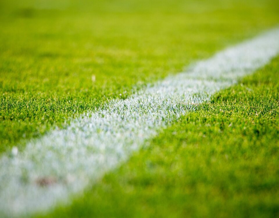 Close-up of a green grass sports field with a white line marking diagonally across it. The focus is on the grass texture in the foreground, with the line slightly blurred as it extends into the distance.