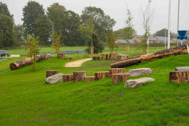 A grassy outdoor area with cut tree logs and large rocks arranged as seating, small trees, and a dirt path leading through the park. Houses and trees are visible in the background on a cloudy day.