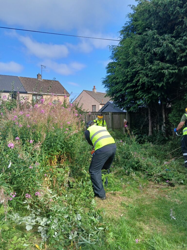 A person in a yellow high-visibility vest is clearing overgrown plants in a garden, with houses and trees in the background under a partly cloudy sky.