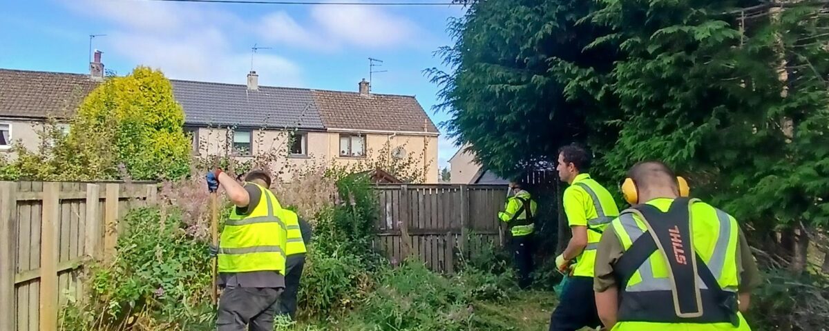 Four people wearing yellow safety vests clear overgrown plants and bushes in a garden with wooden fencing and houses in the background, under a partly cloudy blue sky.