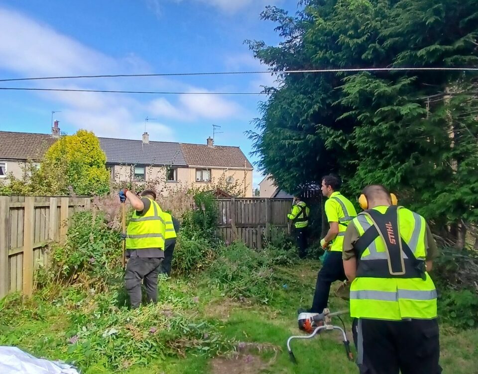 Four people wearing yellow safety vests clear overgrown plants and bushes in a garden with wooden fencing and houses in the background, under a partly cloudy blue sky.