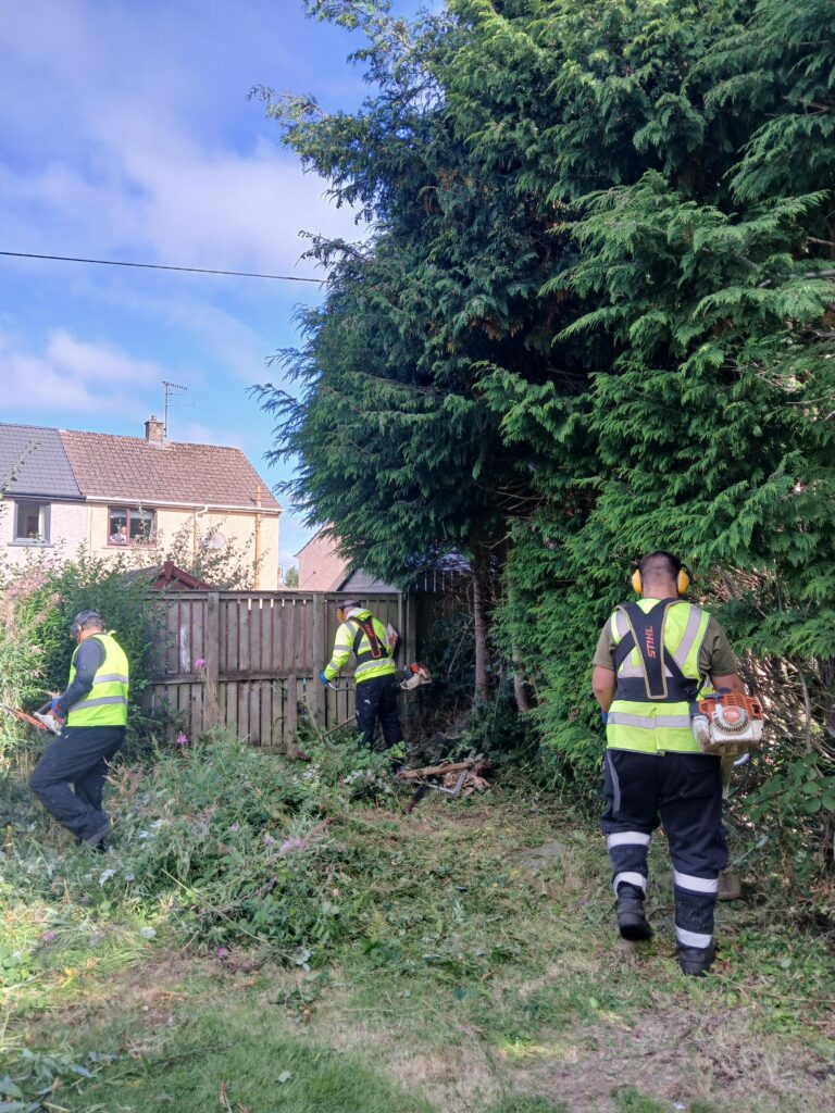 Three workers in high-visibility clothing trim overgrown bushes and trees beside a wooden fence in a residential garden, using power tools and wearing protective gear.
