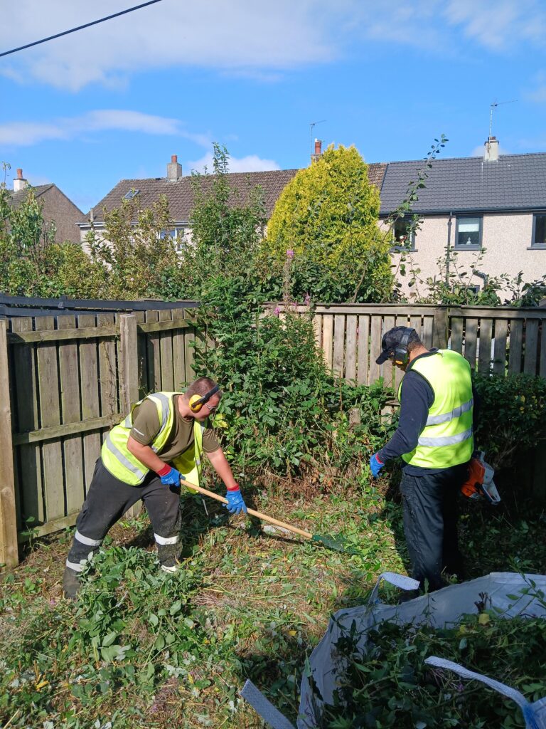 Two workers in high-visibility vests, gloves, and ear protection are clearing overgrown plants in a fenced backyard on a sunny day. One uses a hoe while the other holds gardening equipment.