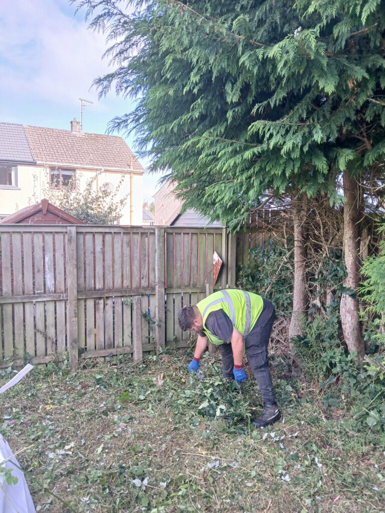 A person wearing a high-visibility vest and gloves is clearing leaves and branches in a garden next to a wooden fence and large evergreen trees.