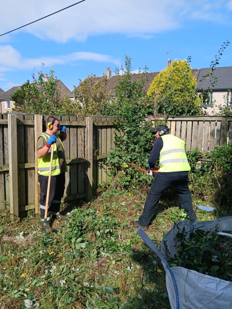 Two people wearing safety vests and gloves trim overgrown bushes in a backyard. One uses a saw while the other holds garden tools. Cut branches lie on the ground near a wooden fence and a house is visible in the background.
