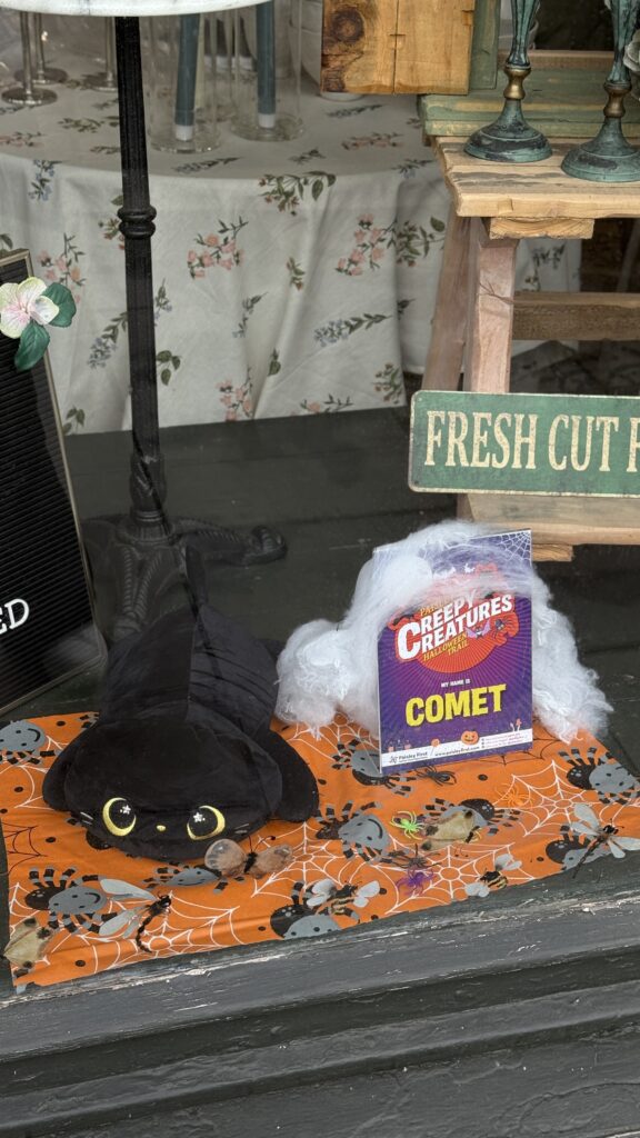 A plush black cat toy lies on a Halloween-themed cloth next to fake spider webs and a sign reading "Creepy Creatures Comet." The scene is part of a decorated display with a "Fresh Cut" sign in the background.