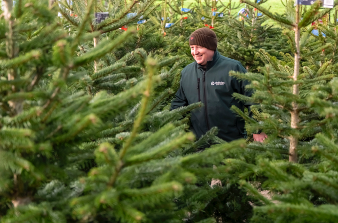A person wearing a dark green jacket and brown knit hat walks through rows of Christmas trees at an outdoor tree farm, smiling amid the green branches.