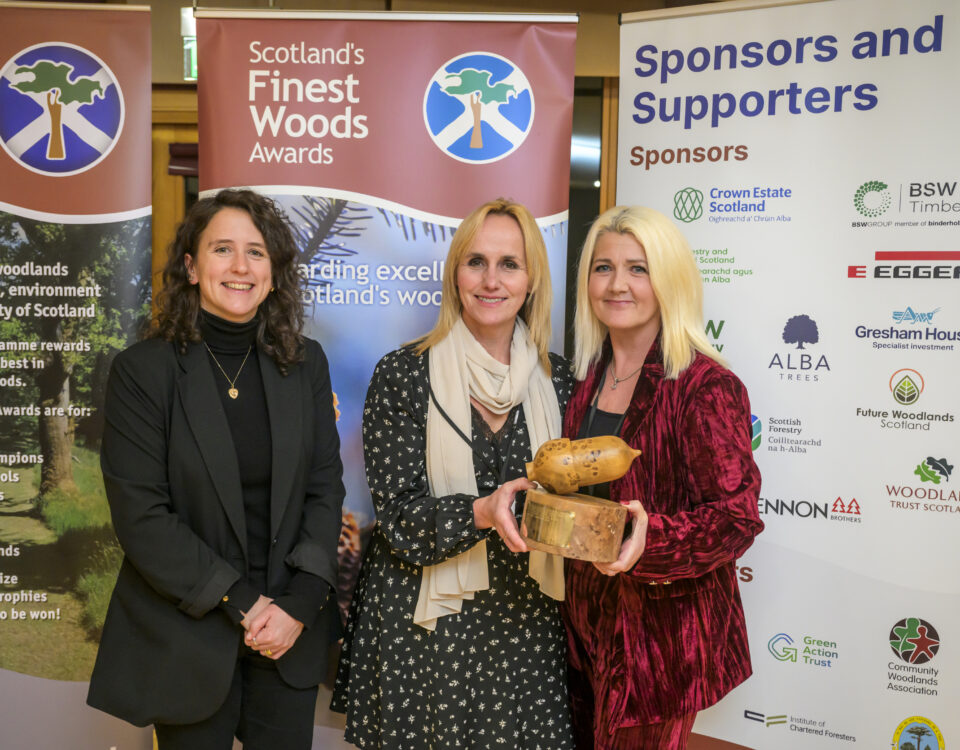 Three women stand together at an awards event. Two hold a wooden trophy. Banners behind them read “Scotland’s Finest Woods Awards” and list sponsors. All are smiling and dressed in business attire.