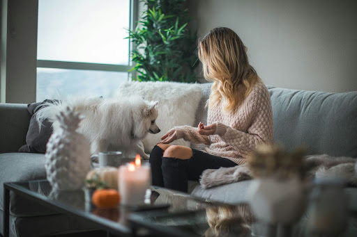 A woman with wavy blonde hair sits on a gray couch, wearing a cozy light sweater and black jeans. She faces a fluffy white dog, possibly a Samoyed, with candles and decor on a glass coffee table nearby.