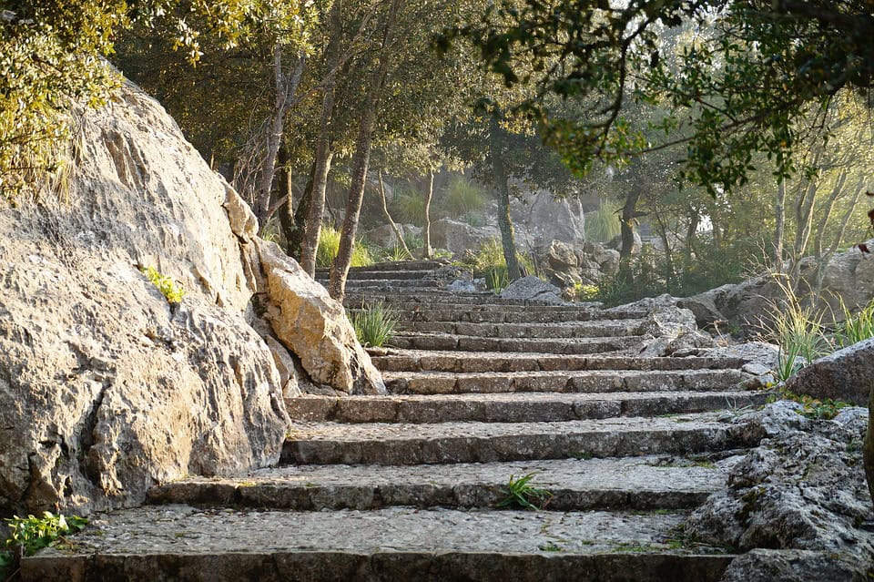 Stone steps wind upward through a rocky, forested area with sunlight filtering through the trees, creating a serene and natural atmosphere.