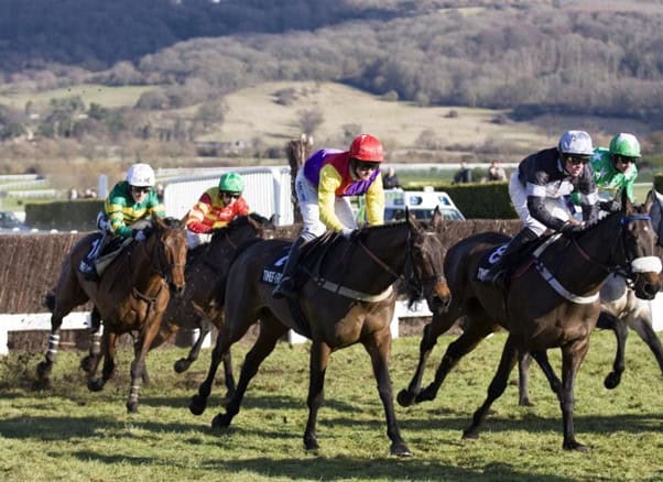 Five jockeys on horses race across a grassy track, each wearing colorful racing silks and helmets, with countryside hills and trees visible in the background.