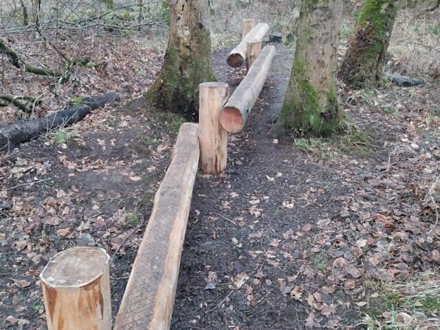 A forest path with large wooden logs cut and placed upright and horizontally between trees, creating a rustic barrier or obstacle. The ground is covered with fallen leaves and the trees are mossy and leafless.