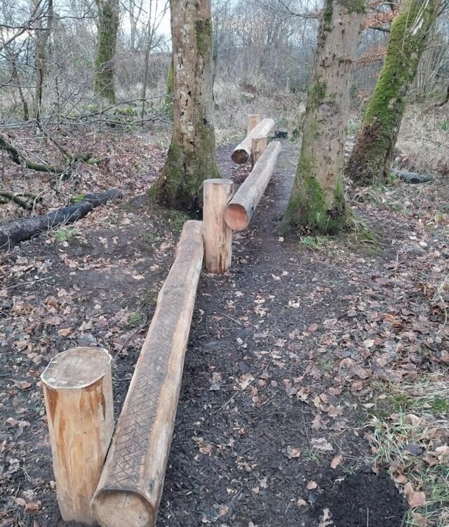 A forest path with large wooden logs cut and placed upright and horizontally between trees, creating a rustic barrier or obstacle. The ground is covered with fallen leaves and the trees are mossy and leafless.