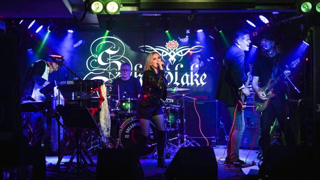 A five-member band performs on stage under colorful lights, with a female singer at the center, surrounded by musicians playing keyboard, drums, guitar, and bass. The backdrop displays the band name "Silverlake" in ornate lettering.